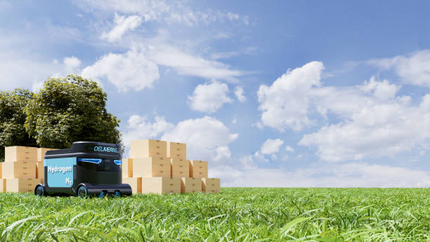 istockphoto-1438032964-612x612.jpg